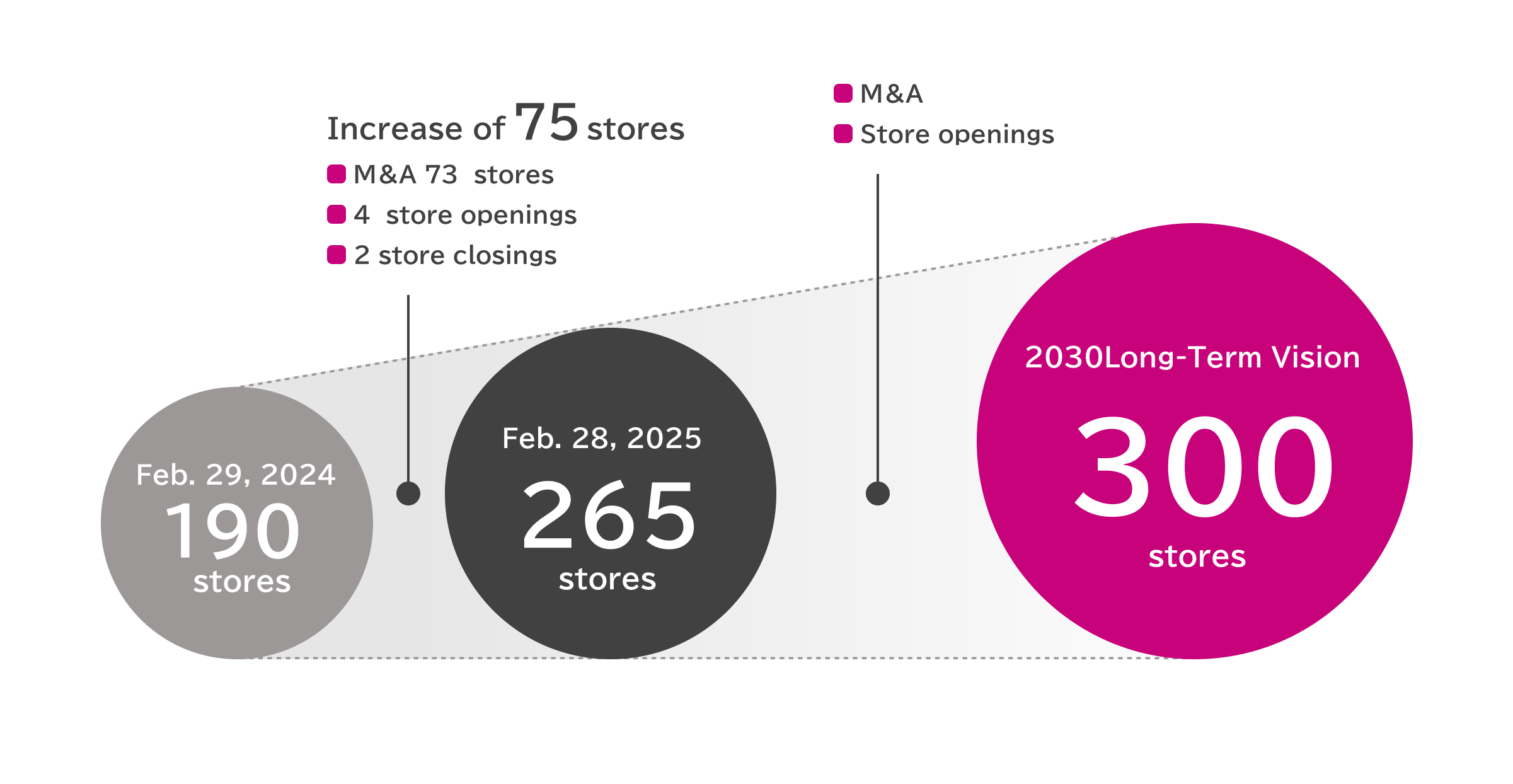 Number of Izumi Group Malls and Stores