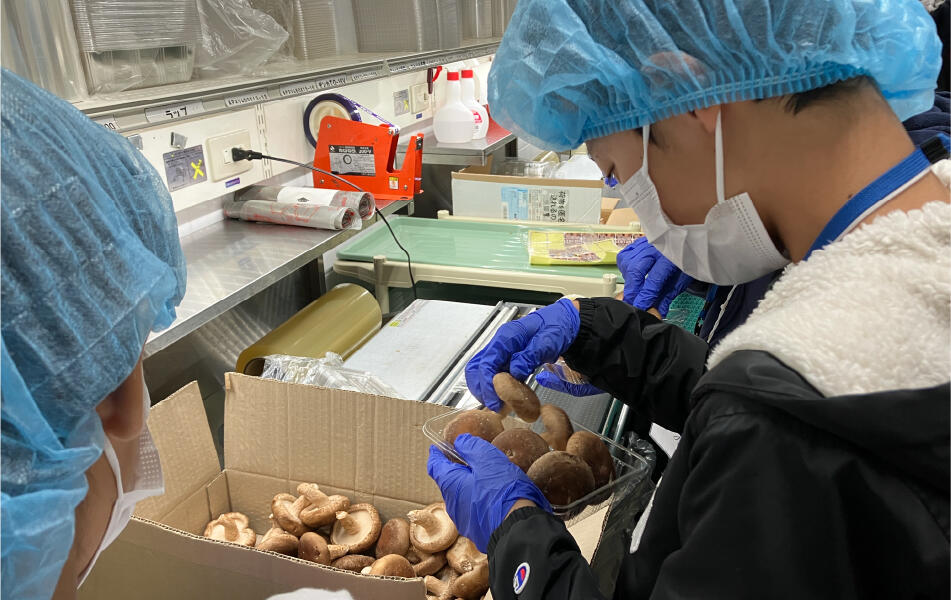 食の体験ツアー